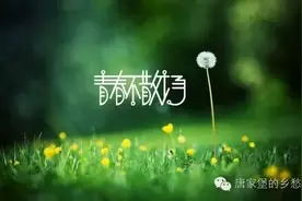 大学 我的锤子呢？！图片