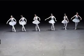 搞笑gif图片：猴子你这身打扮，真把我迷住了图片