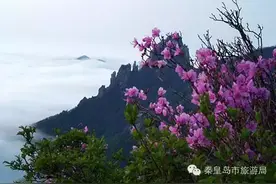 探访秦皇岛，寻找一处专属你的心情驿站！图片