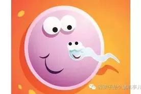 怀孕|受精卵到达子宫的奇幻之旅图片