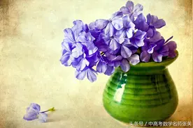 “数形结合”在初中数学中的运用图片