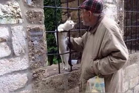 一只猫咪与老爷爷的照片感动无数网友图片