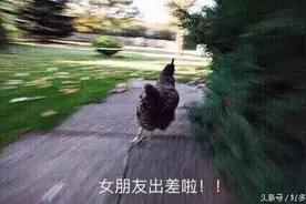 女朋友出差后你是什么样子图片