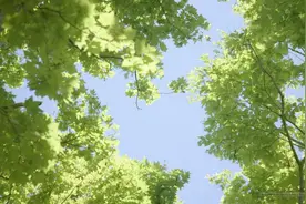 等一个晴天图片