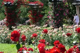 走进全球13大花园|如置身幻境图片