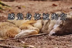 什么请假理由能让老板根本无法拒绝？图片