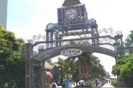 荷兰花卉小镇，美得令人无法忍受图片