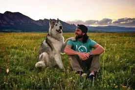 铲屎官福利---宠物出游秘笈图片