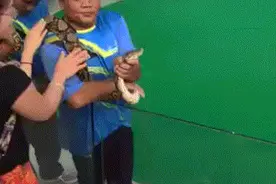 爆笑gif：吓死宝宝啦！和蛇接吻要慎重！图片