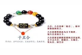 十二生肖，人们常说的六合贵人指的是那些生肖组合呢？图片