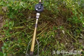 钓鱼以来，第一次钓到这么大的鱼图片