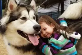 让狗狗来告诉你，什么叫作陪伴是最长情的告白！感人~图片