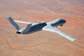 外媒：印度政府否认将购买“捕食者”无人机图片