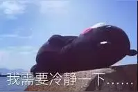 新手必看！ | 扒一扒那些适合新手的高性价比化妆刷图片