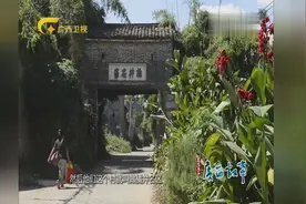 古时一位官员名叫陆绩，陆绩跟橘子的传说被流传至今视频封面