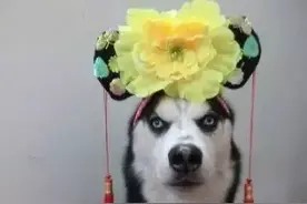你告诉我该怎么走图片