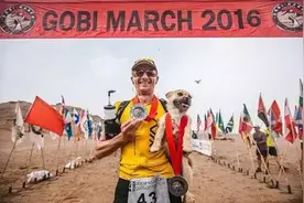 汪界年度励志：中华田园犬神奇移民英国图片