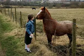 小女孩给马儿喂东西,马儿咬掉了她的大拇指,小心了图片
