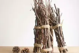 十件好物打造文艺自然空间图片
