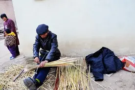 小时候常见的笤帚，已被塑料扫帚所延续图片