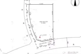 一周规划：文化路小学项目用地/中原区中原府邸旧城改造详细规划图片