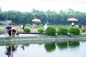 钓鱼养身又养性！图片