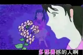 丁香花 感人MV