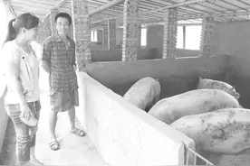 猪圈里扔着这块木头，被识货人发现后，价值超过50头肥猪图片