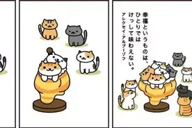 道理我都懂，但是我要萌猫告诉我图片