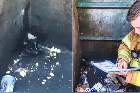 臭鼬脑袋卡在垃圾桶，消防员无惧臭味威胁施救，还念故事帮它平静图片