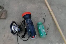 盛夏晚上去野外捉这种爬虫，一个晚上能赚几百元！图片
