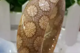 如何辨别珊瑚玉的品质好坏图片