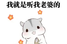 萌萌哒仓鼠表情新更 我的老婆我惯的图片