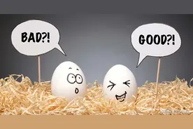 生鸡蛋对于狗来说是安全的吗？图片