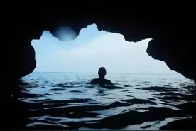 办公室里精致的奇葩。图片