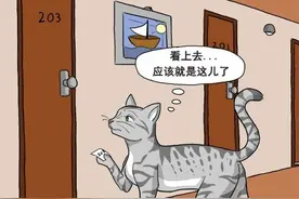 干脆面和小猫之间不得不说的爱情故事！图片