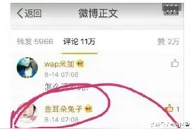 从“金耳朵兔孑”说起，谈网络帐号安全图片