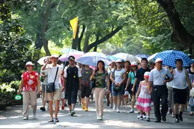 治个脱臼花费万元，这亏你吃吗？图片