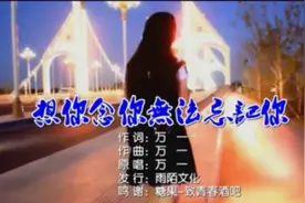 一首《想你念你无法忘记你》好听，送给痴情人！视频封面