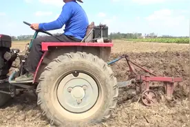 农村犁地（耕地）的两种方式！这竟然还有门道，你说那种方法好？