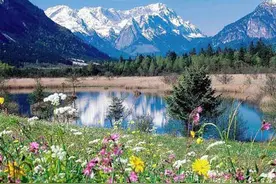 蜜蜜的故事（连载 01）图片