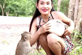 妹子给猴子吃了东西，小猴子想拿她的包视频封面