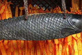 北京动物园海洋馆里的海狮是龙的儿子？至于你信不信，反正我信了图片