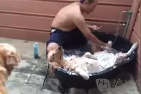 意大利极品慢摇歌词图片