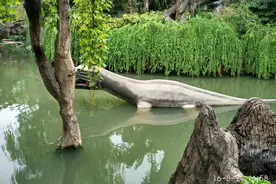 常州中华恐龙园一日游图片