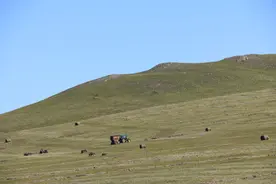 草原牧民打草原来是这么回事图片