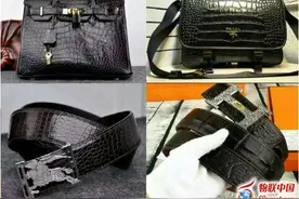 鳄鱼皮 蜥蜴皮 鸵鸟皮 蟒蛇皮 魔鬼鱼皮等稀有皮皮具真假对比图片