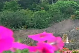 狐仙将自己变成苏妲己的模样，领命杀纣王，在帝辛门前遇门神阻碍