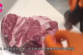 公猪肉和母猪肉差别这么大看一眼这里就能辨别，再也不会买错视频封面