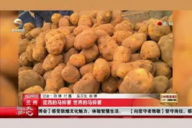 中国土豆哪里强，甘肃定西排第一，年产量500万吨，位居全国第一视频封面